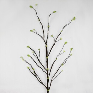 �G�~������ �S�����l��ѿ���l���֦ �b���l��֦ ����G�~֦