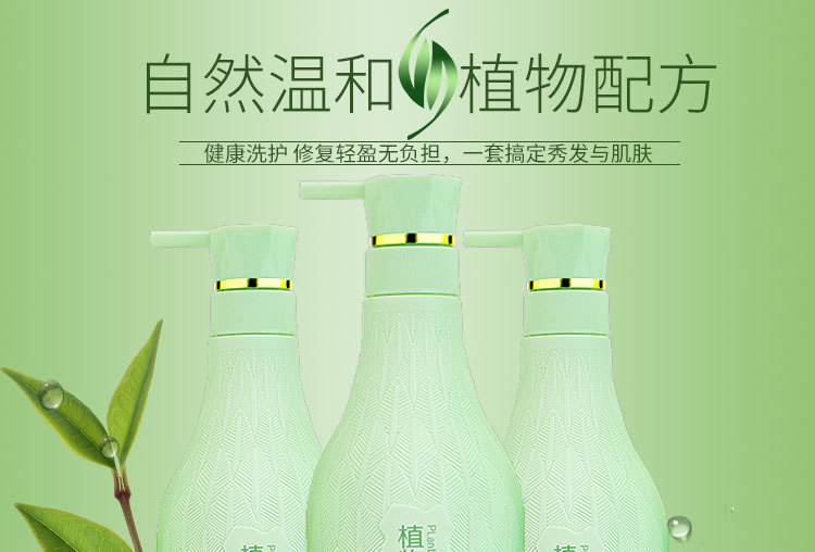 植物叶子详情页1_01