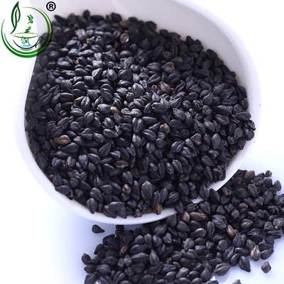 碧云涧新茶散装茶叶大凉山胚芽苦荞茶麦香苦荞麦茶高山黑胚芽米|ru