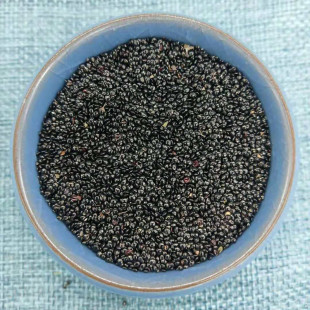 ���� ������ �_���� ������ �m���� �w��M ����ă�