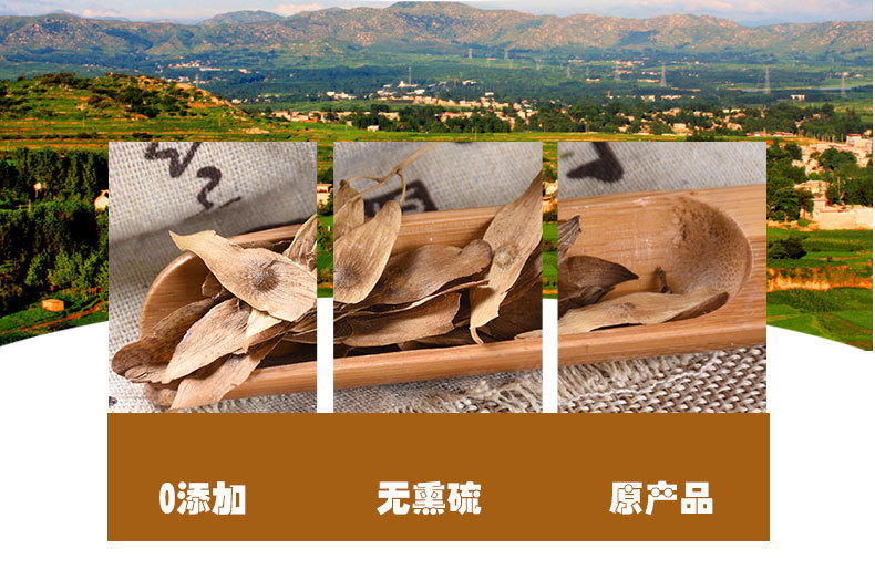 Feng Yan Cao (Ailanthus altissima Fruit) — Dried Chinese Herb, Sulfur-Free, 500g quality and texture