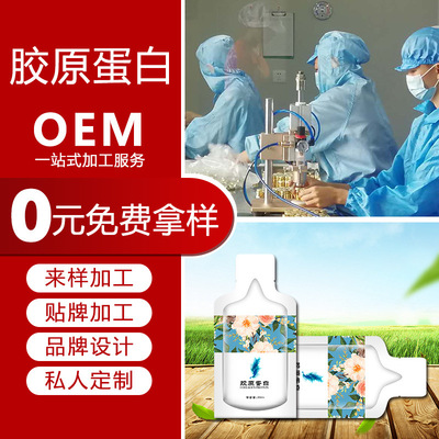 OEM OEM Processing source Manufactor Bird's Nest collagen protein oral liquid Small peptides Health Food