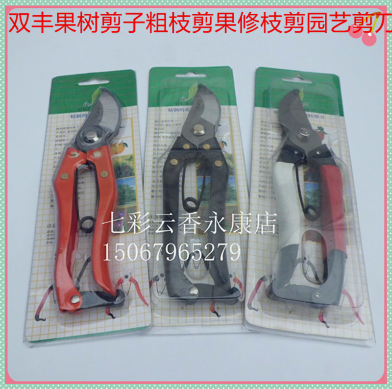 枝剪果树剪刀园林园艺剪刀修枝剪粗枝剪树枝花木修剪花剪工具