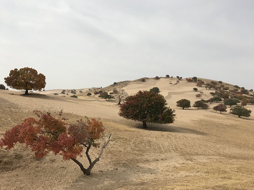 (所有图片均由风痕拍摄)
做最简单的事,最简单的做事,只做最容易成功的事!北京风痕文化传...