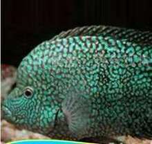 �����~ �����~ ���ݱ��~ �G�����~ �^�p�~���l