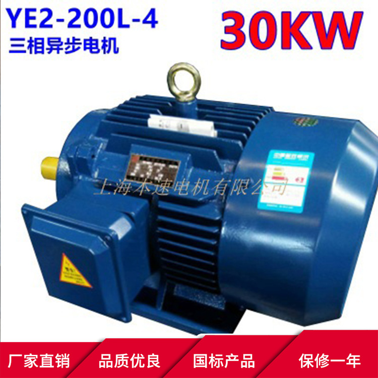 YE3系列马达三相异步电动机YE3-200L-4 30KW千瓦4极三相异步电机