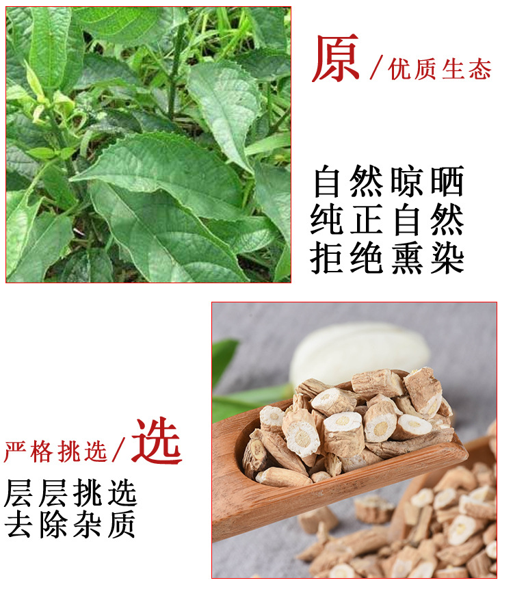 Ban Lan Gen (Isatis indigotica / Isatis tinctoria) — Sulfur-Free Dried Root, 500g Northeast China quality and texture