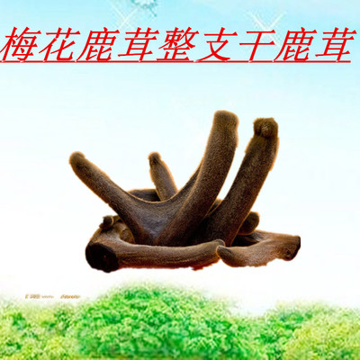 梅花鹿茸干鹿茸整枝二杠茸礼盒装吉林鹿乡发货批发