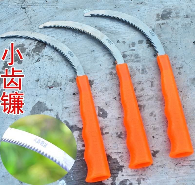 O1CN012MYJMPCIUpHWsMO_!!396555