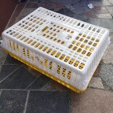 供應廣西南寧加厚型塑料雞籠 成雞周轉籠 物流運輸配送雞筐周轉箱