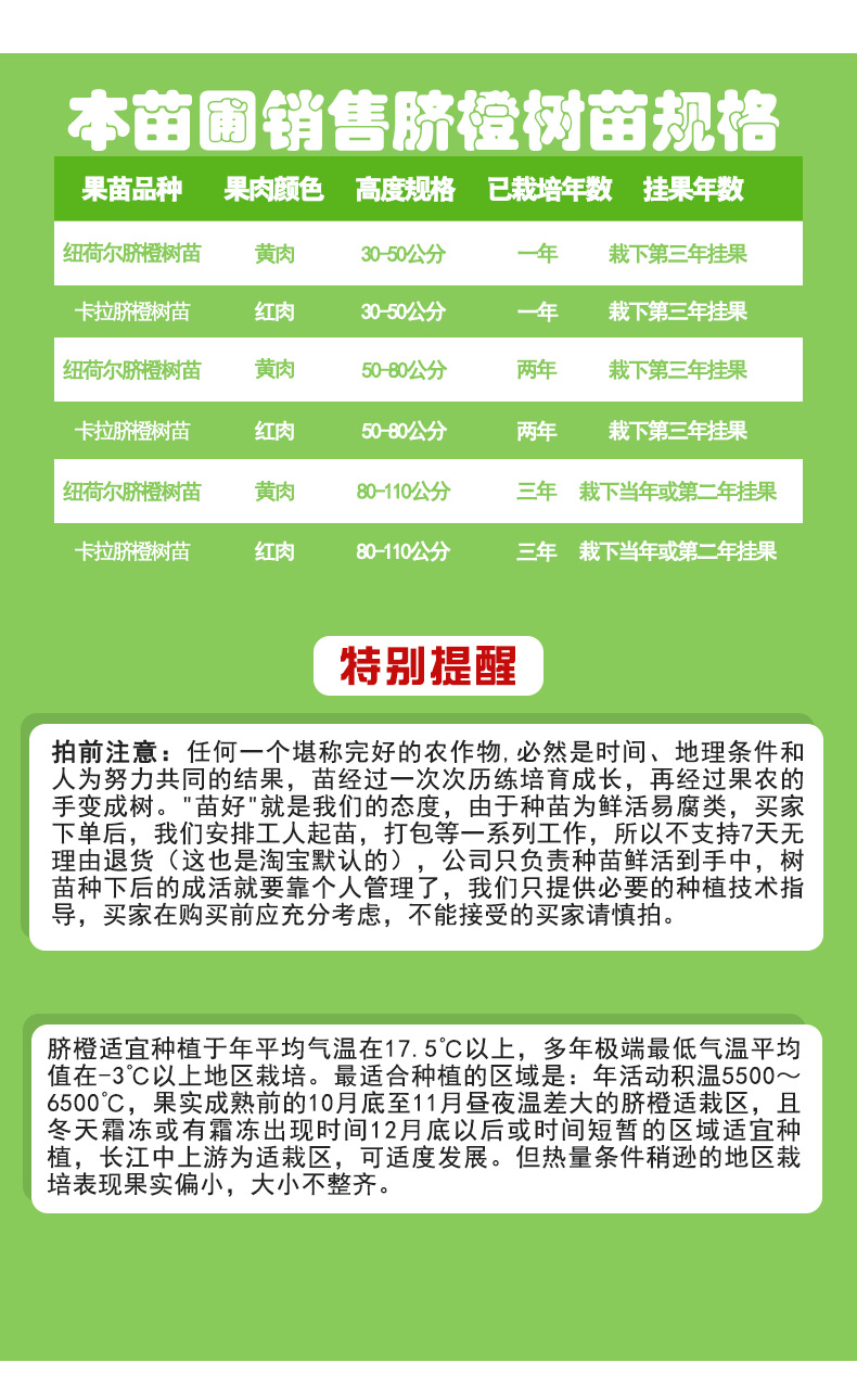脐橙苗_07.png