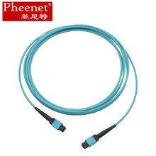 Pheenet菲尼特 MPO(母頭)-MPO(母頭) 8芯3米萬兆40G MTP光纖線