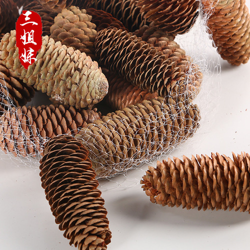 Large supply of big forest spruce pine cone pine cone Christmas decorations pine cone ball hangings shooting props wholesale