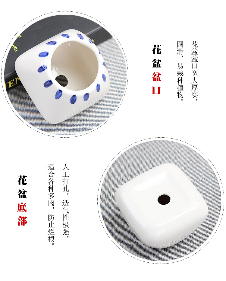 花盆_10