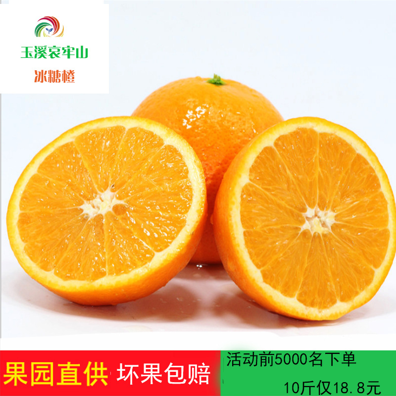 云南哀牢山冰糖橙新鲜水果10斤当季采摘橙子手剥橙甜橙包邮非脐橙|ms