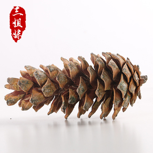 Christmas tree pine tower north and south birch south tower diy crafts decoration pendant photography props ornaments wholesale