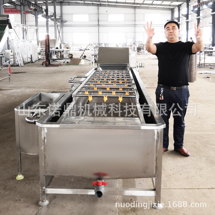 毛豆清洗设备 鲜毛豆气泡清洗机 可定制清洗机 厂家直销 翻浪清洗