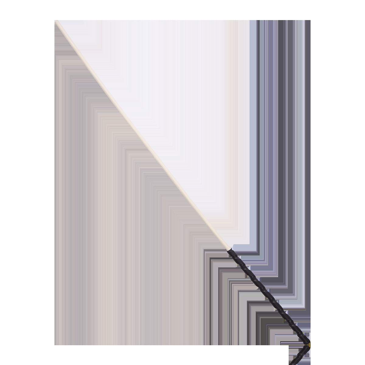 IMG_5544 拷贝.png