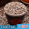 Wholesale Little Coix Rice Renchen Renzi Rice Rice Guli Miscellaneous Grain Bulk 500g vacuum packaging