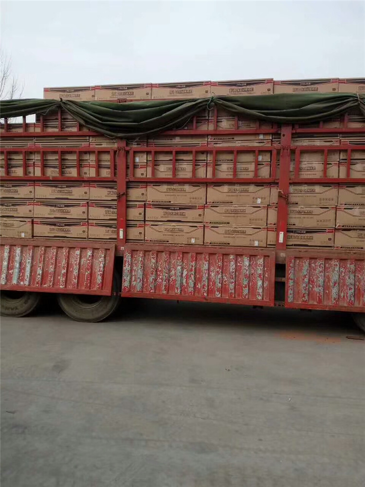 mmexport1515565477834