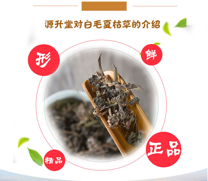 Bai Mao Xia Ku Cao (Ajuga decumbens) — Dried Whole Herb, 500g key features