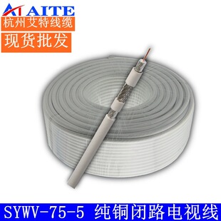 �S��ֱ�NSYWV-75-5���~�]·�ҕ���F؛���l�V늌���ͬ�S��|