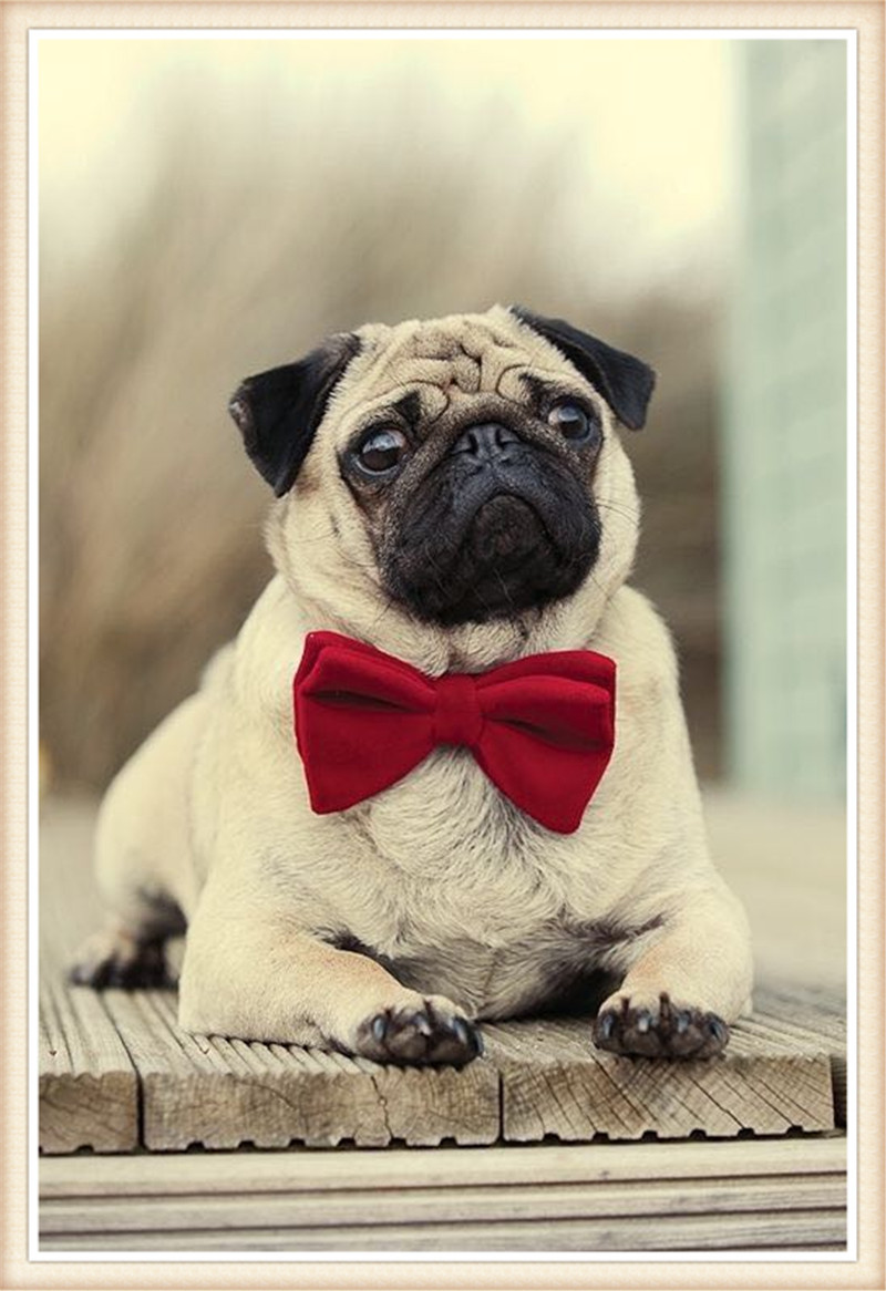 DW1768 30X40CM 狗.jpg