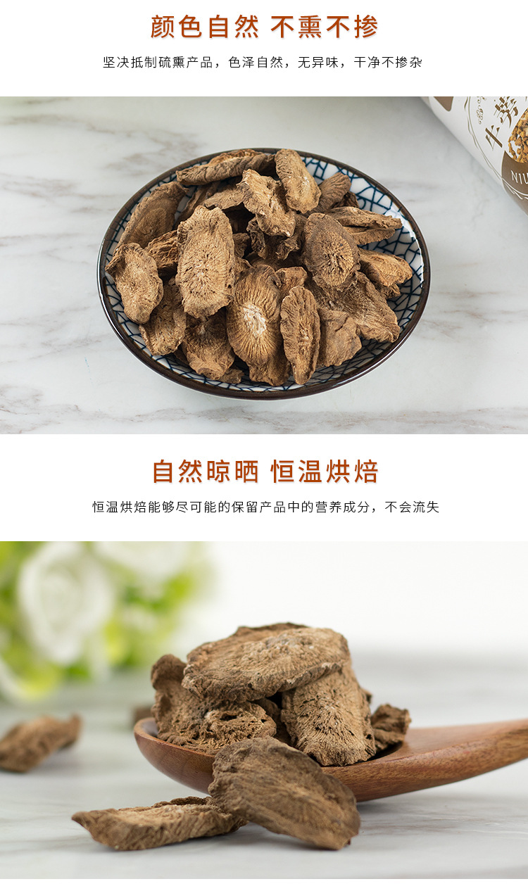 Burdock Root Tea Slices (Arctium lappa) — Dried Niu Bang Root Herbal Tea, 100g Jar in use