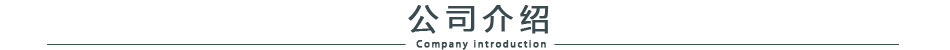 公司介绍