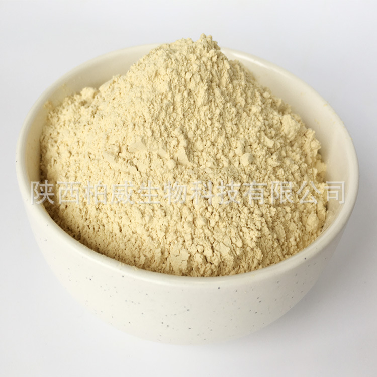 芒果提取物 芒果苷 90% 芒果甙 天然原料 工厂现货批发零售