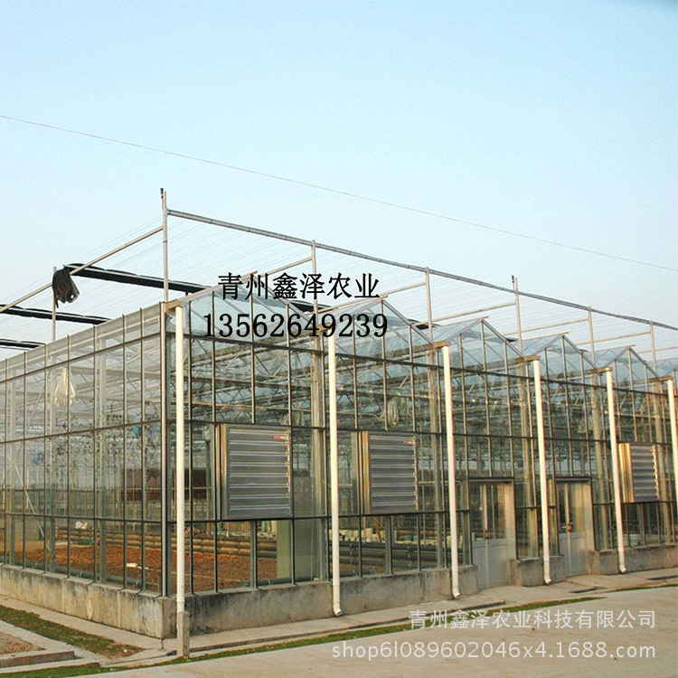 铁皮石斛种植温室 药材种植温室 温室生产厂家 药材种植温室大棚