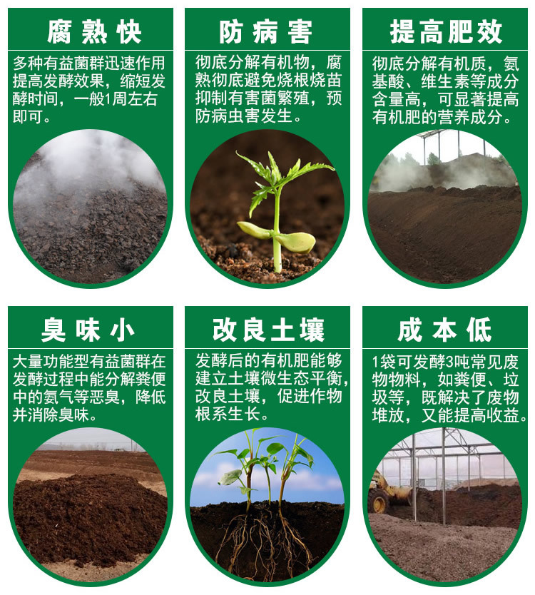 牛粪腐熟肥料发酵剂