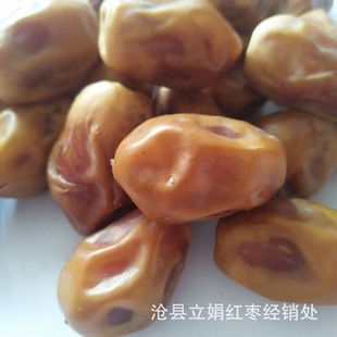 �������S��Ҭ������Ҭ���t�� �����ۗ���ʳ���l�����r��