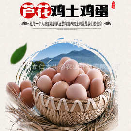 散养芦花鸡蛋 孕婴健康食品新鲜土鸡蛋 绿色生态柴鸡蛋30枚60枚