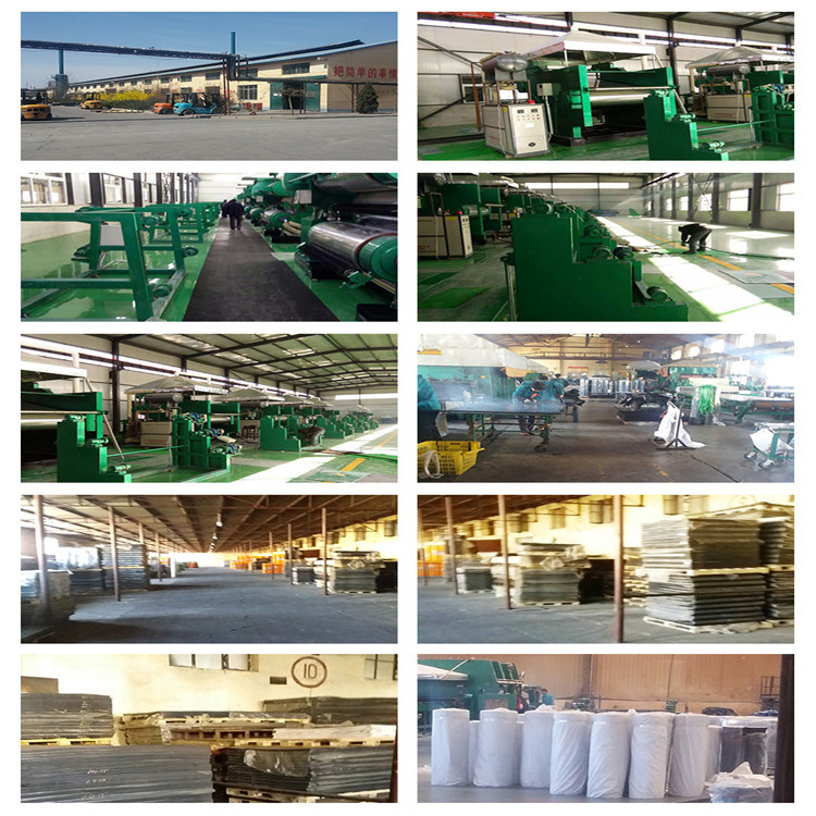 e4315728a136fac230c52e77b0a02a