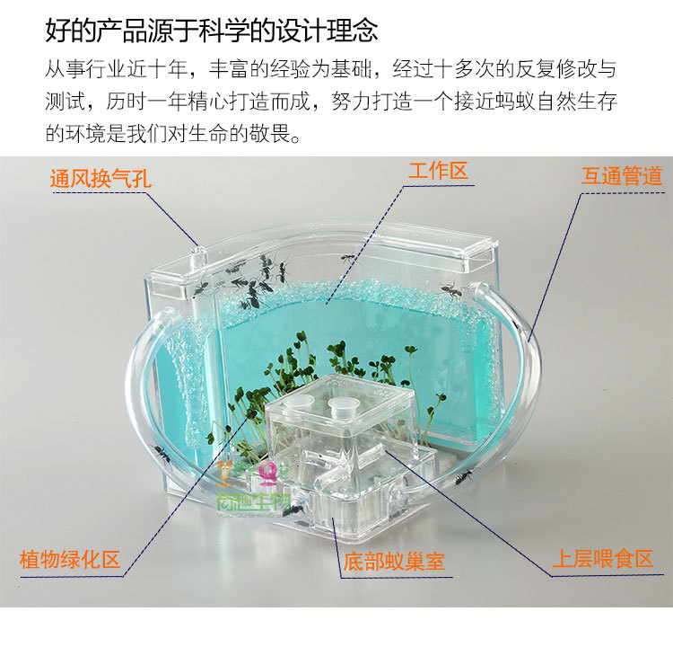 蚂蚁家园双拱桥详情描述PSD_03