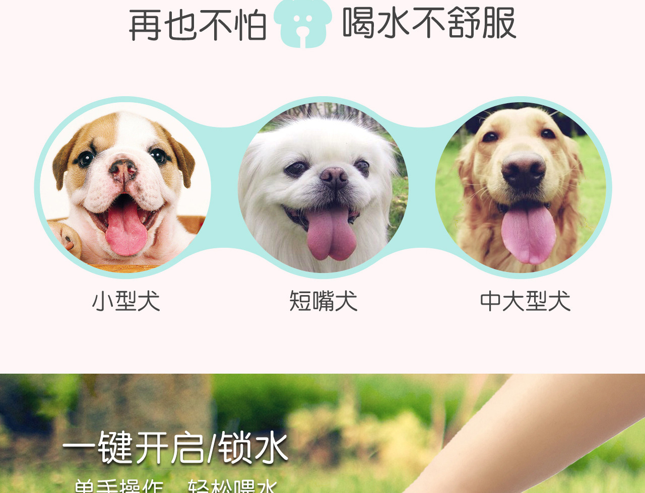 狗狗外出旅行饮水器10.jpg