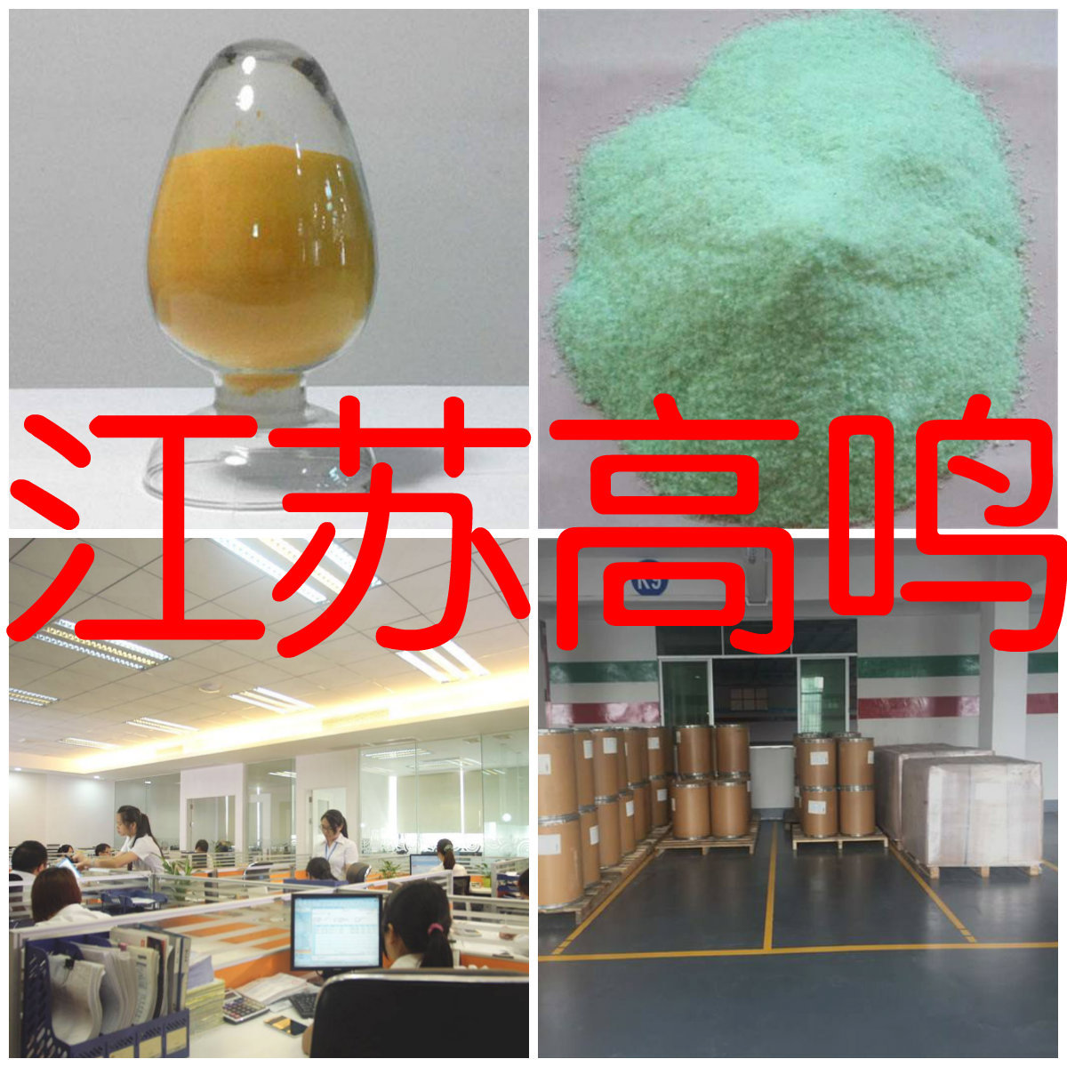 独特な店 裁断済 SAFE Volume5 審美的合併症編 健康/医学 - education