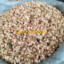 苿莉 苿莉品牌 图片 价格 苿莉批发 阿里巴巴