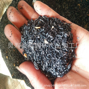 ���i��������̿�m�������õ���̿���������󃞻�