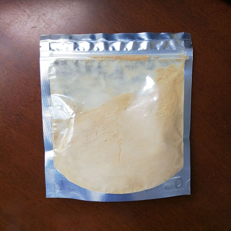 批发供应酵母粉 食品级啤酒酵母粉 1千克起订