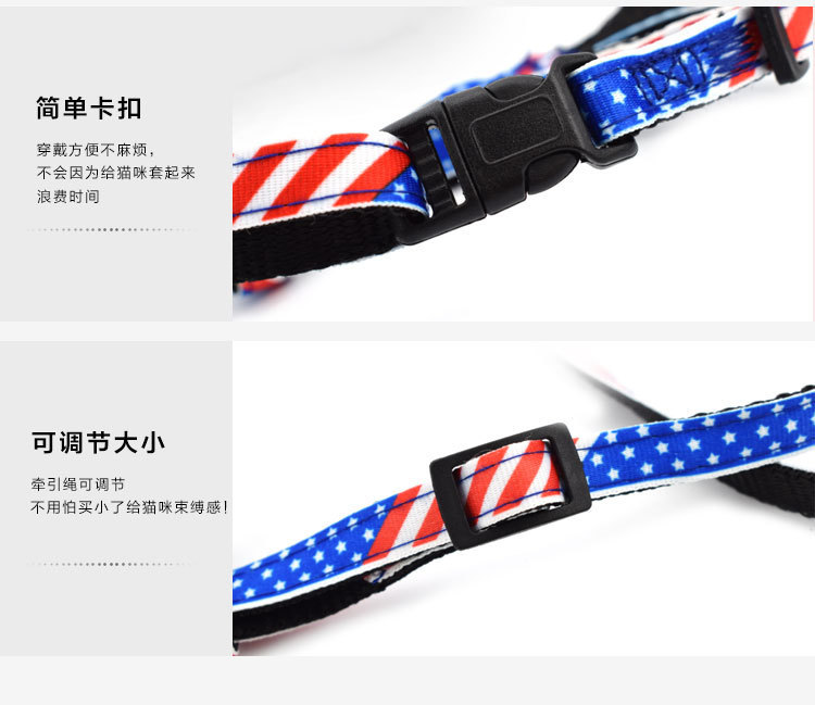 6147816603_1300616989