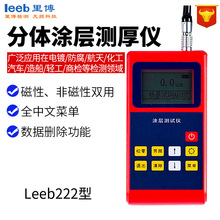 里博leeb222高精度油漆厚度测量仪漆膜仪数显测汽车漆面检测仪