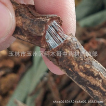 �t���� �ٻ������� ������ ë������ �Q���� ���� ������ ��Ʒ