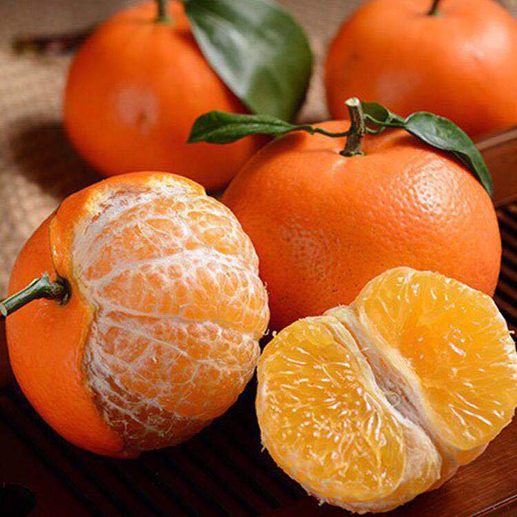 产地直发   一件代发     甜蜜爆汁的广西沃柑