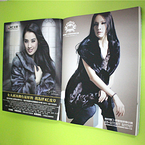 专业定做宣传专色印刷白纸板图册 广告宣传册印刷 详询定制无现货