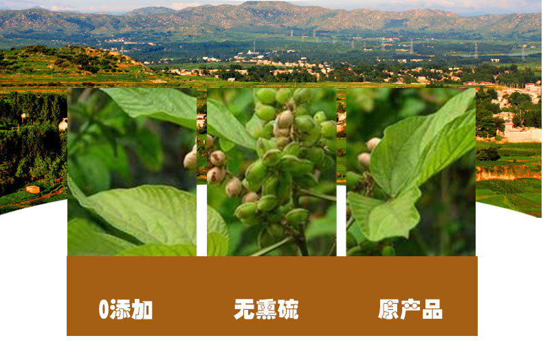 Qian Jin Ba Root (Moghania philippinensis) — Dried Food Herb, Sulfur-Free, 500g quality and texture