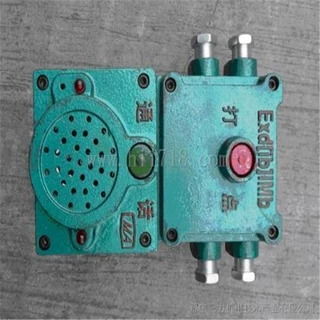矿用专业防爆声光报警器 声光报警器系统装置 声光电子蜂鸣器