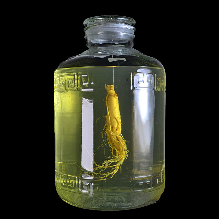 广口磨砂玻璃泡酒瓶带龙头人参泡酒瓶6到100斤大泡酒缸酒桶大油桶