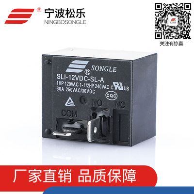 厂家直供 宁波松乐继电器SLI-12VDC-SL-A T91系列 电热产品推荐|ru